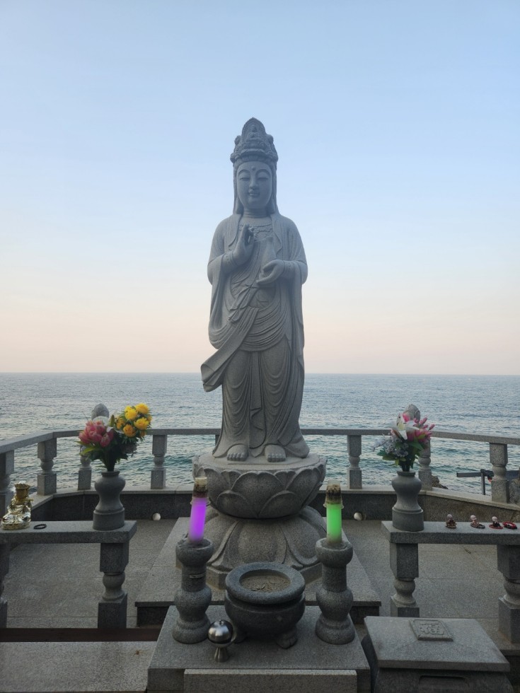 3067302113_8M6HNhEd_34f8e1322cdbefe8f8ad81a2356a6153dd6d235b.jpg 이미지크게보기